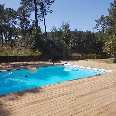 Pin Bleu 莫列马阿