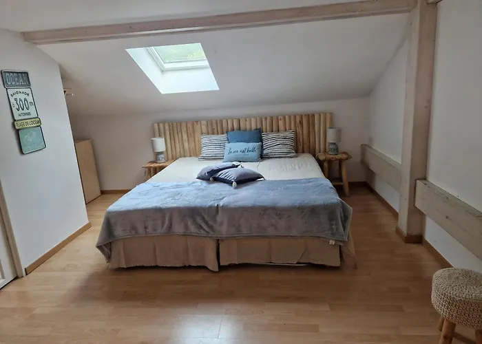 Pin Bleu Moliets-et-Maa